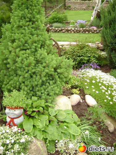 9 ����: ���  �����.