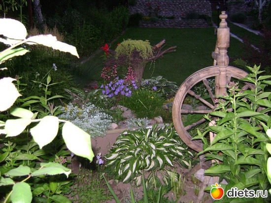 23 ����: ���  �����.