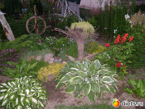 24 ����: ���  �����.