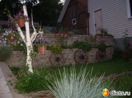 26 ����: ���  �����.