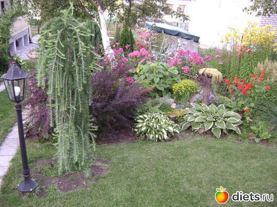 5 ����: ��� ����