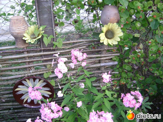 13 ����: ��� ����