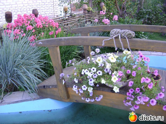 14 ����: ��� ����