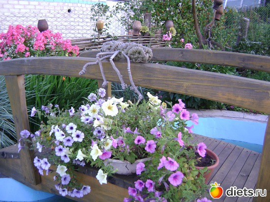 15 ����: ��� ����