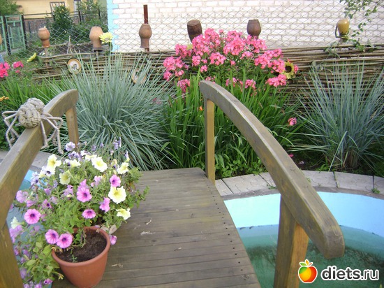 16 ����: ��� ����