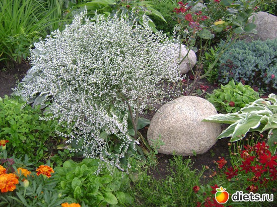 18 ����: ��� ����