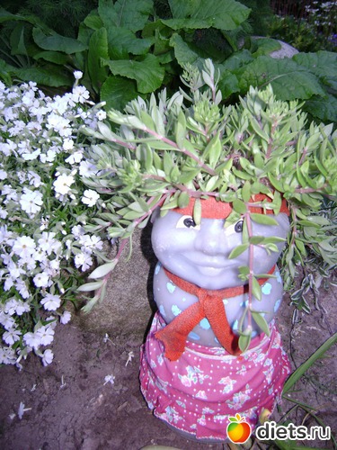 10 ����: ���  �����.