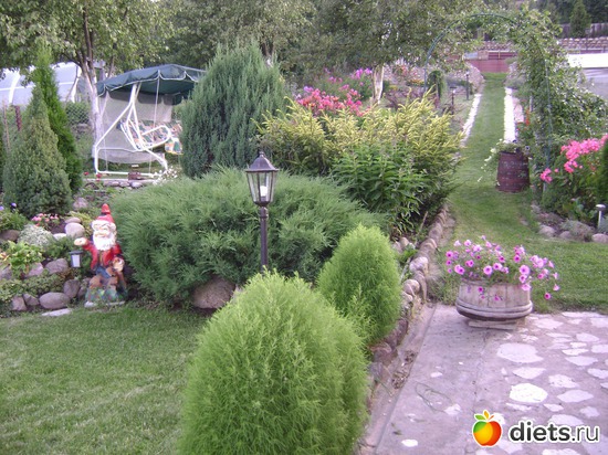 20 ����: ��� ����