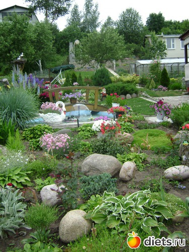 15 ����: ���  �����.