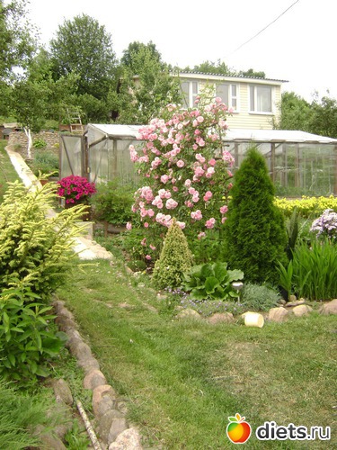 20 ����: ���  �����.