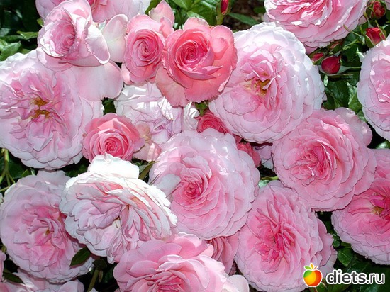 6 ����: ��� � ������