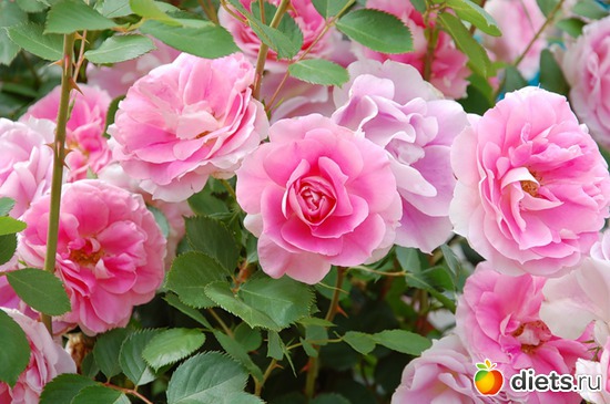 7 ����: ��� � ������