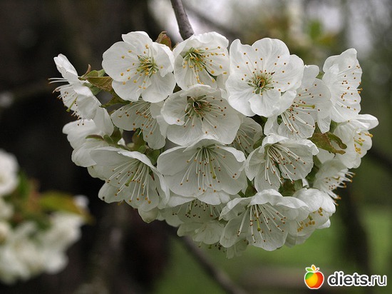 31 ����: ��� � ������