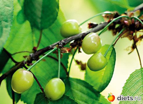 ��� � ������