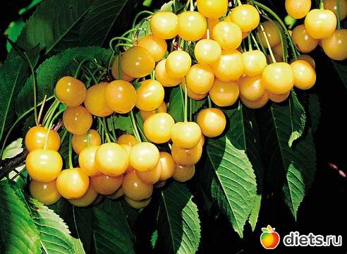 ������� ������� ������