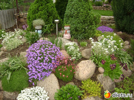 ��� �������� �����., ������: ��� ����,�����������.