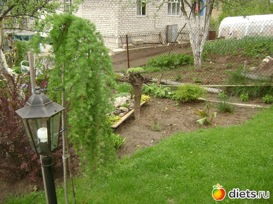 6 ����: ��� ����,�����������.