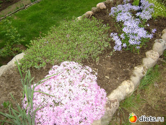 8 ����: ��� ����,�����������.