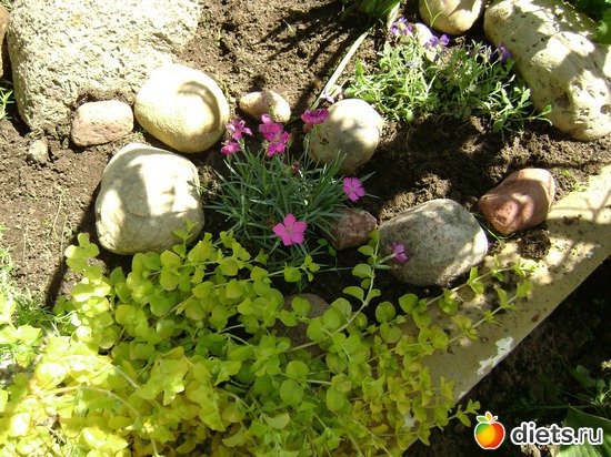 14 ����: ��� ����,�����������.