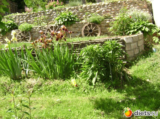 16 ����: ��� ����,�����������.