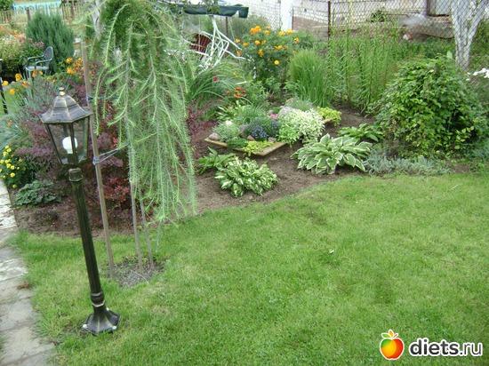 1 ����: ��� �����