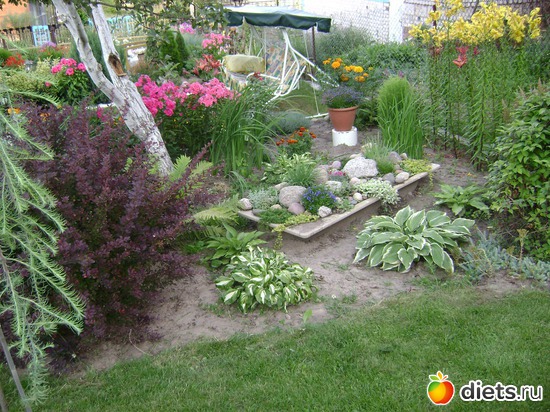 5 ����: ��� �����