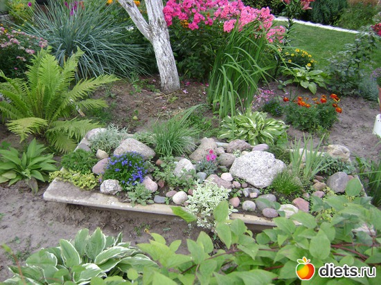 6 ����: ��� �����