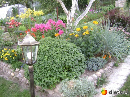 7 ����: ��� �����