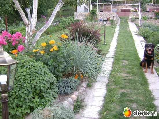 8 ����: ��� �����