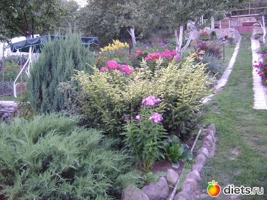 9 ����: ��� �����