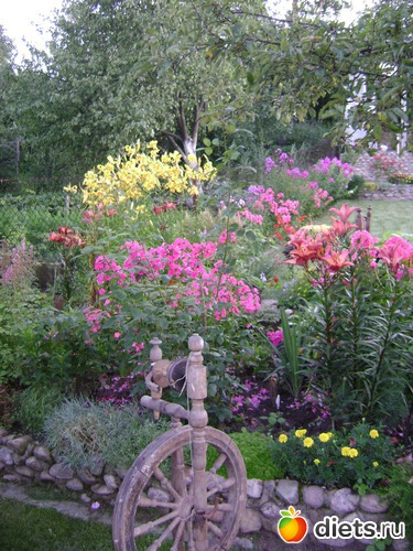 1 фото: Моя дача