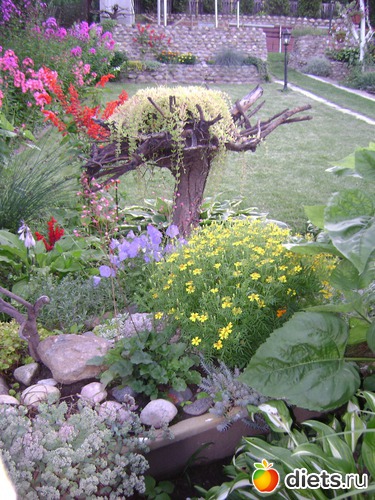 4 ����: ��� ����