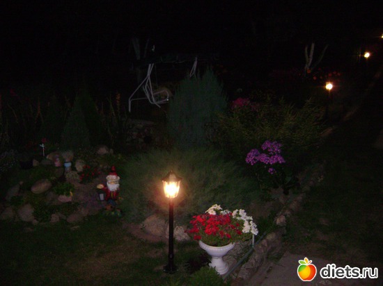 10 ����: ��� �����