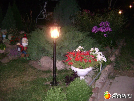 12 ����: ��� �����