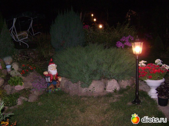 13 ����: ��� �����