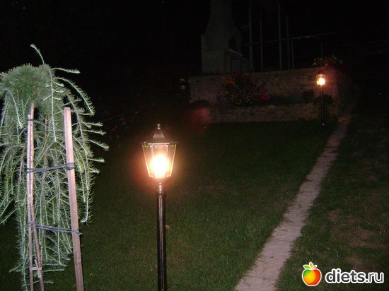 14 ����: ��� �����