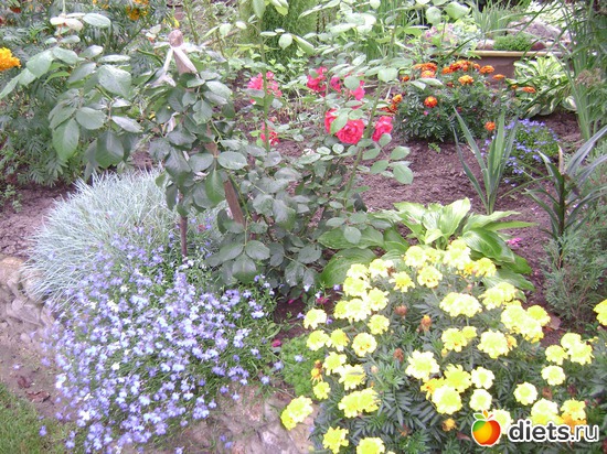 15 ����: ��� �����