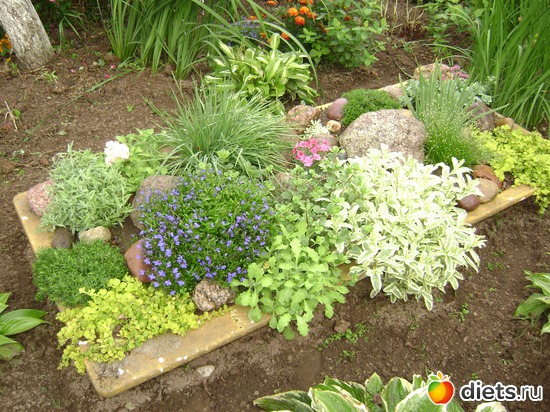 16 ����: ��� �����