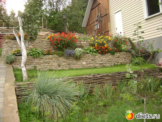 18 ����: ��� �����