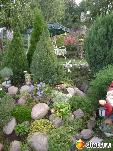 11 ����: ��� ����