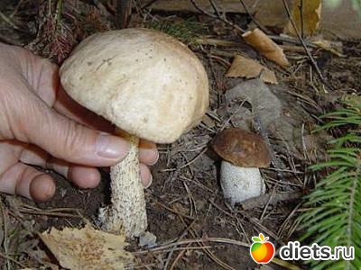 �������� ����� �� ������ �� �����