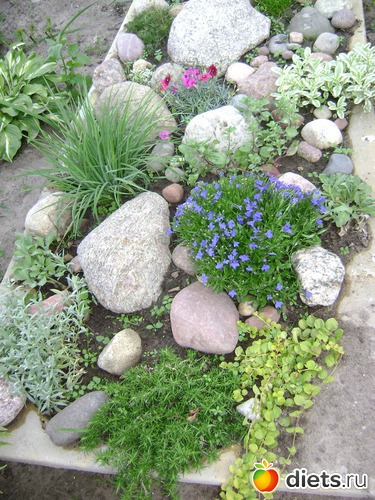 2 ����: ��� �����