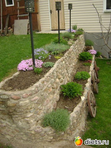 7 ����: ��� ����,�����������.