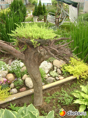 10 ����: ��� ����,�����������.