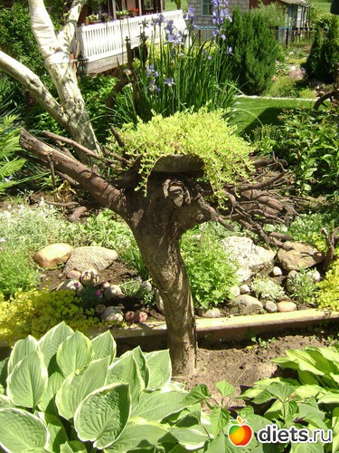 15 ����: ��� ����,�����������.