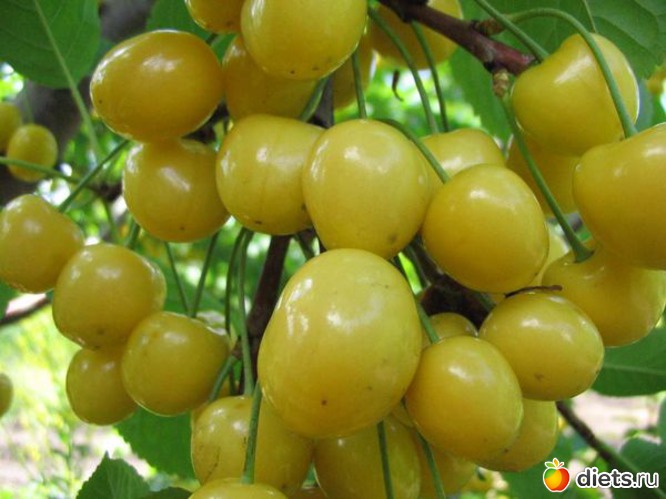 35 ����: ��� � ������