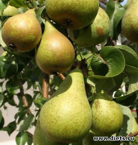 ����� ���� ����