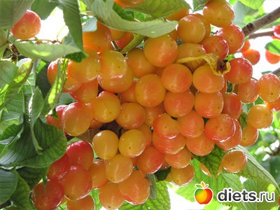 ������� ������