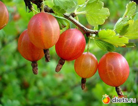 ��������� �������