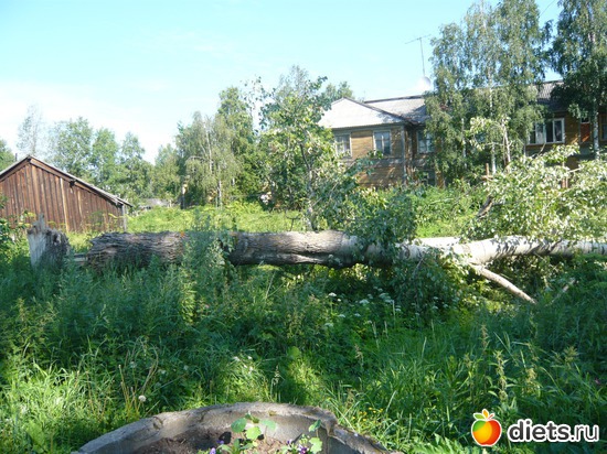 ������� � ������������, ������: ��� �����